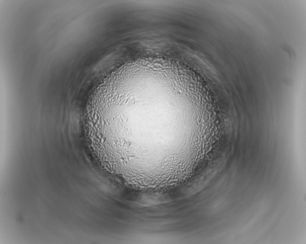 X0000115150757200911101729