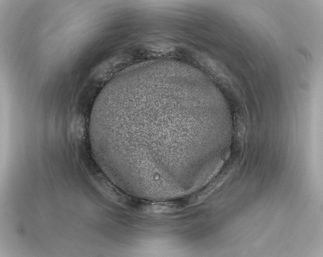 X0000115150758200911101729