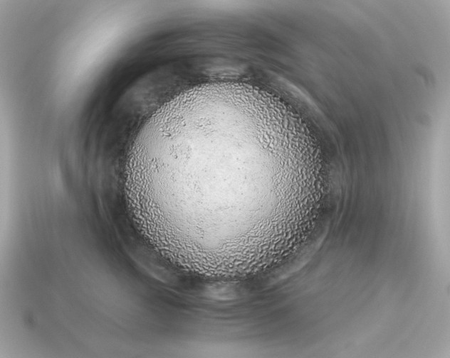 X0000115150761200911101729