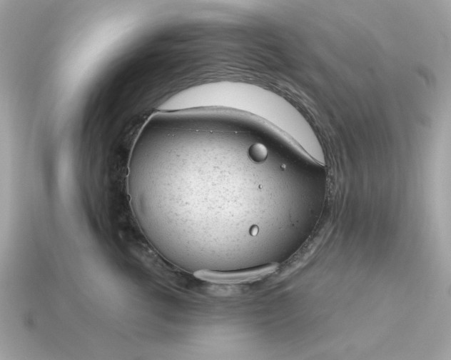 X0000115150762200911101729