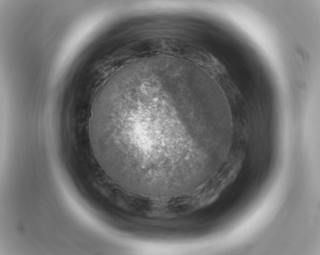 X0000115150766200911101729