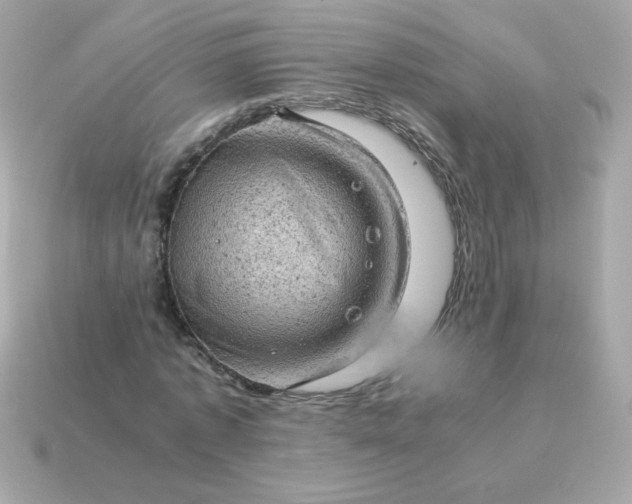 X0000115150773200911101728