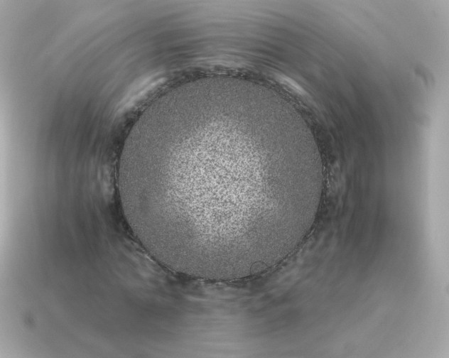 X0000115150774200911101728