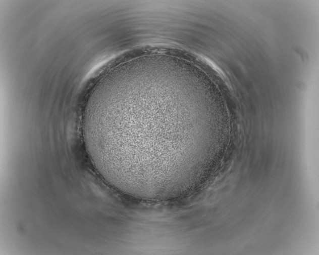 X0000115150775200911101728