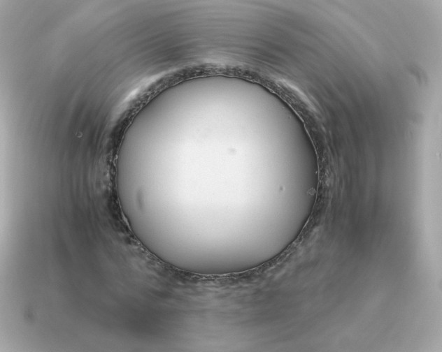X0000115150776200911101728