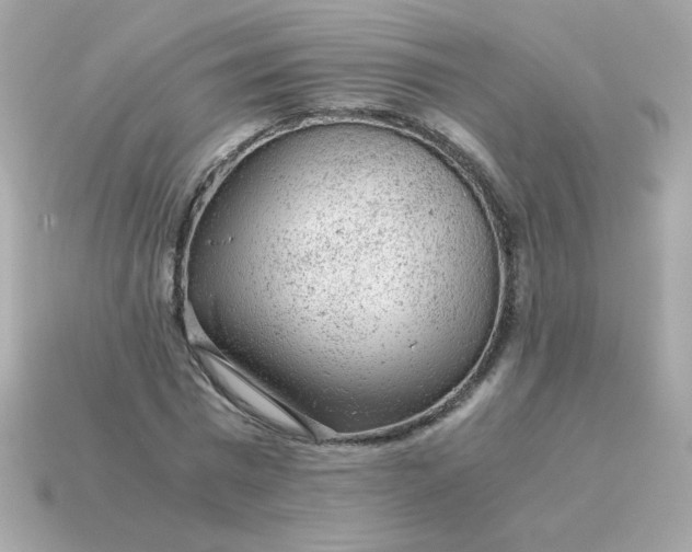 X0000115150777200911101728