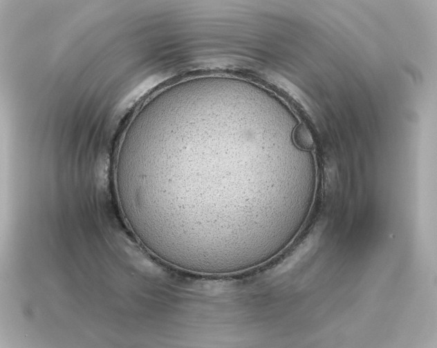 X0000115150778200911101728