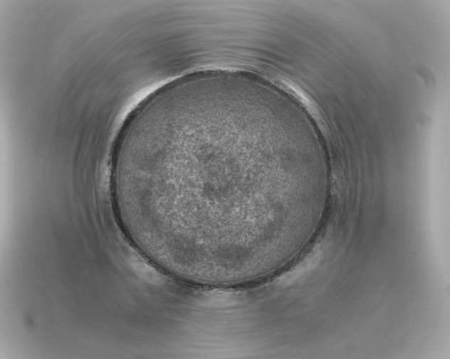 X0000115150779200911101728