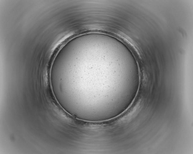 X0000115150782200911101728