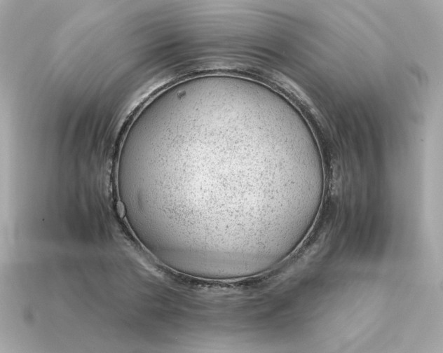 X0000115150786200911101728
