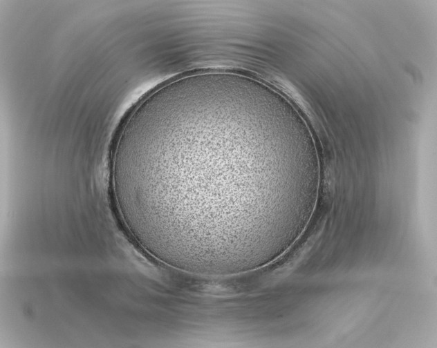 X0000115150787200911101728