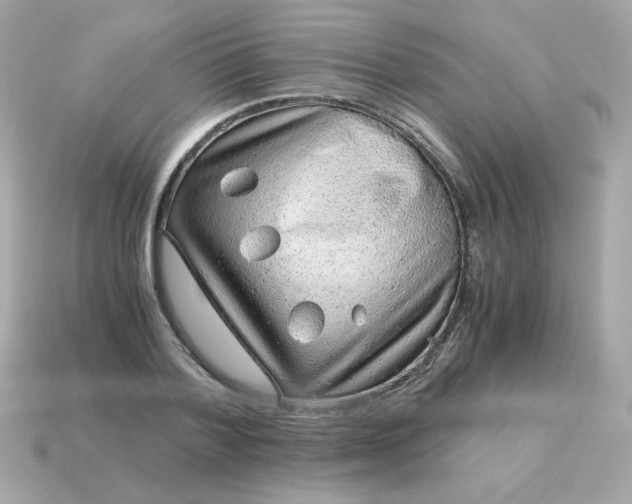 X0000115150788200911101728