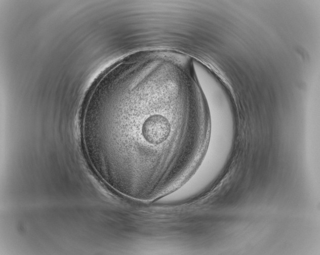 X0000115150789200911101728