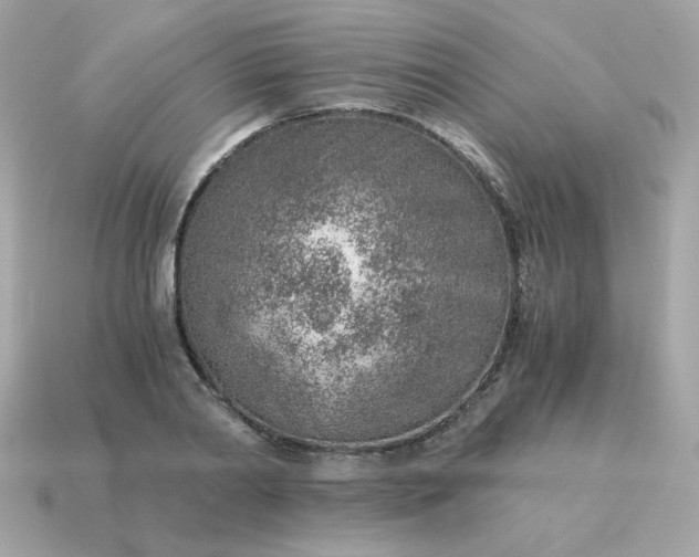 X0000115150790200911101728