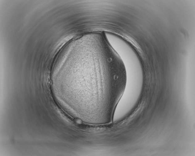 X0000115150793200911101728