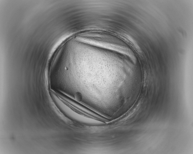 X0000115150796200911101728