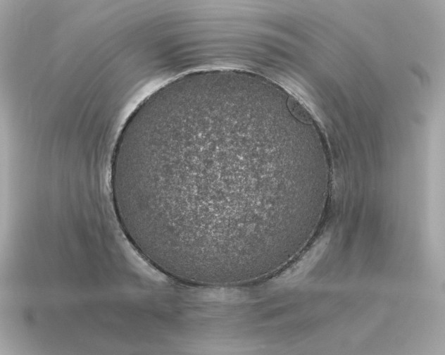 X0000115150797200911101728