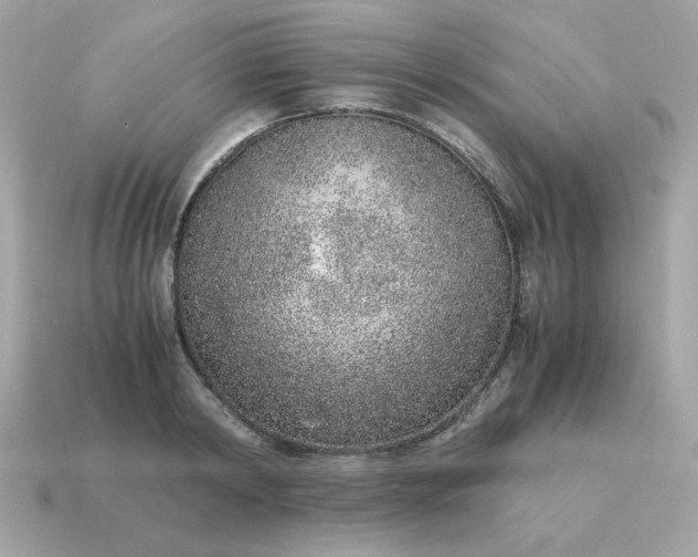 X0000115150798200911101728
