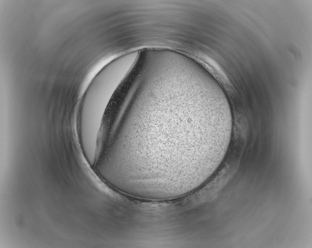 X0000115150804200911101728