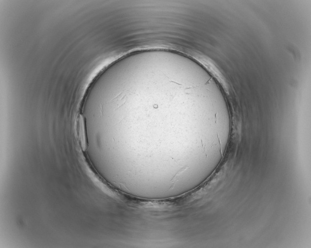 X0000115150805200911101728