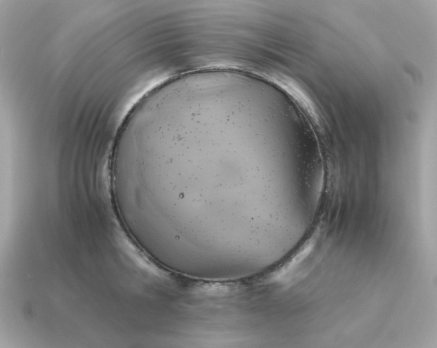 X0000115150806200911101728