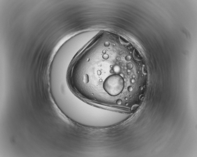 X0000115150808200911101728