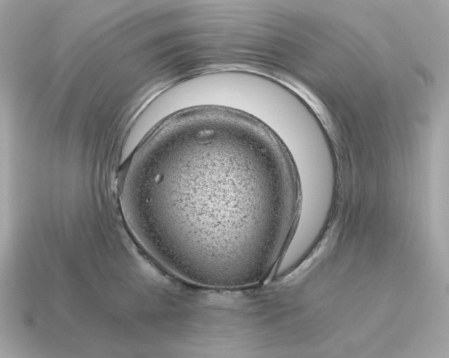 X0000115150809200911101728