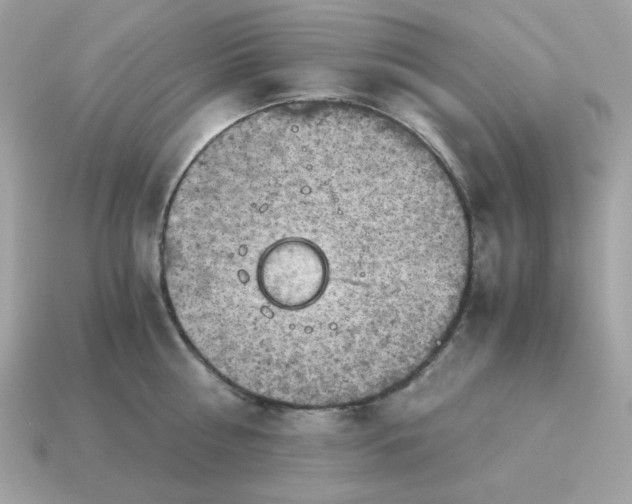 X0000115150810200911101728