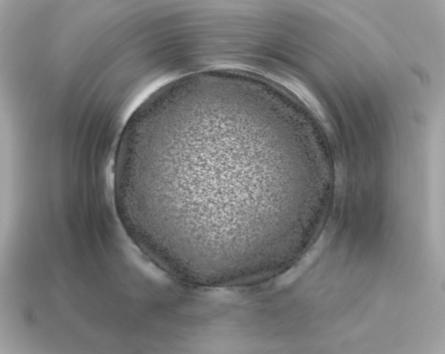 X0000115150814200911101728