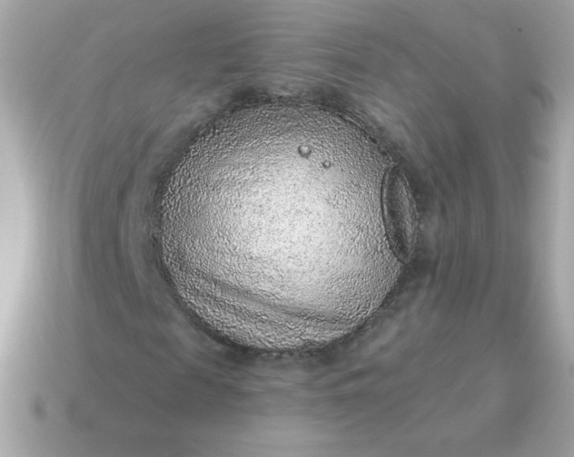 X0000115150817200911101727