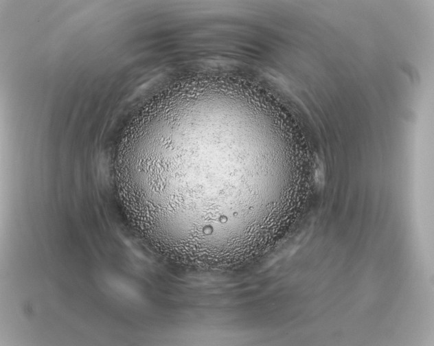X0000115150819200911101727