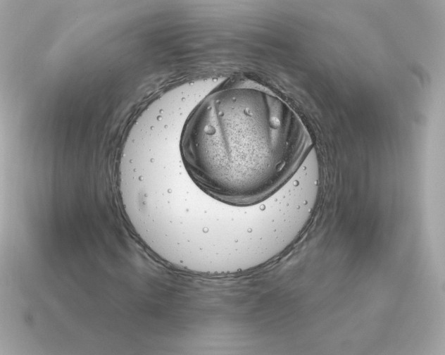 X0000115150820200911101727