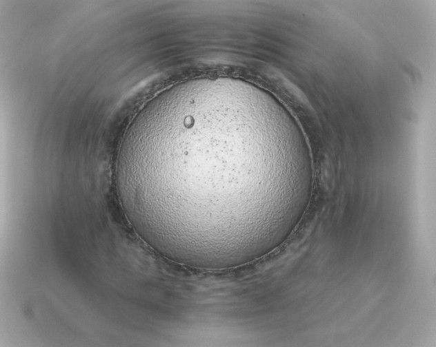 X0000115150821200911101727