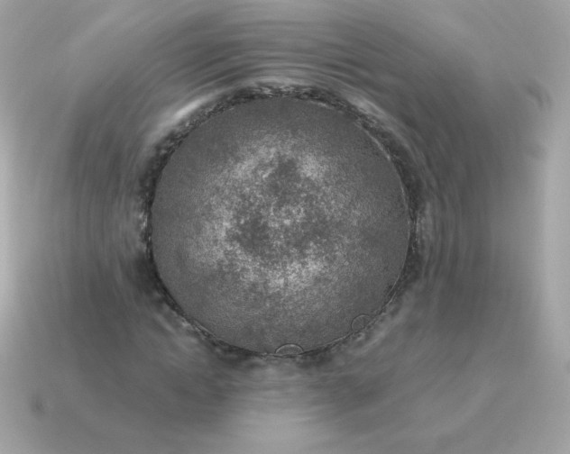 X0000115150822200911101727