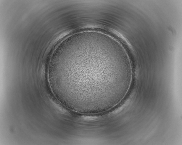 X0000115150825200911101727