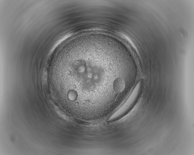 X0000115150827200911101727