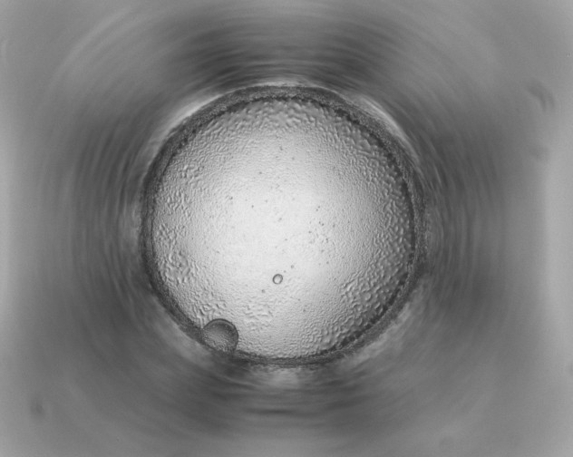 X0000115150831200911101727
