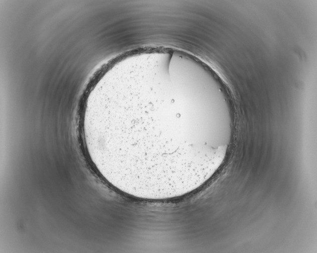 X0000115150832200911101727