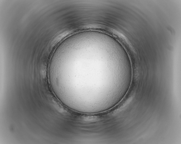 X0000115150833200911101727