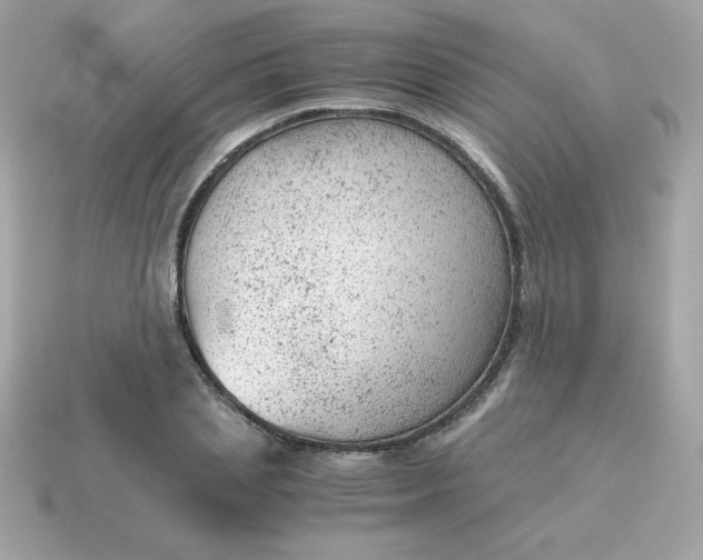 X0000115150837200911101727