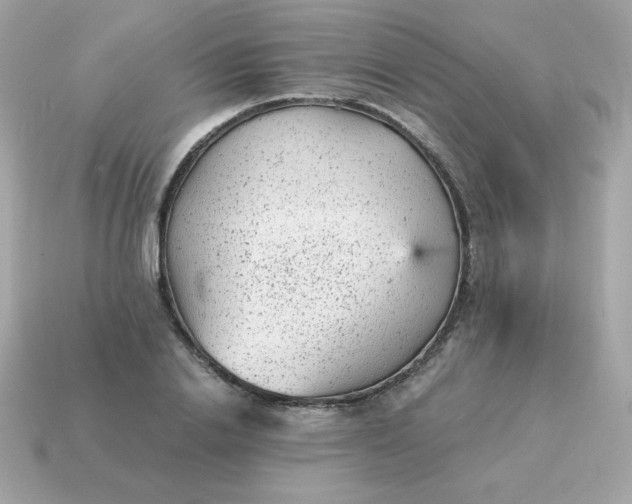 X0000115150838200911101727