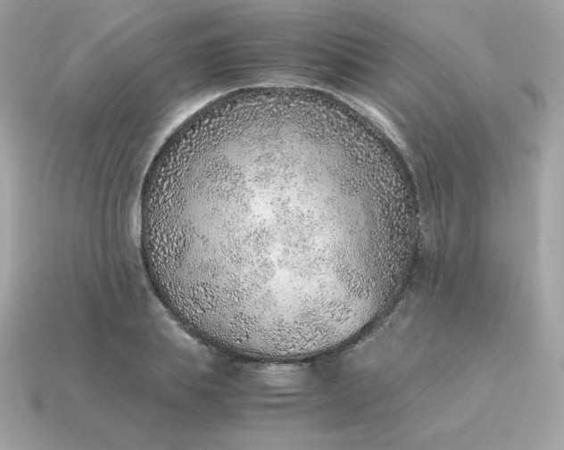 X0000115150839200911101727