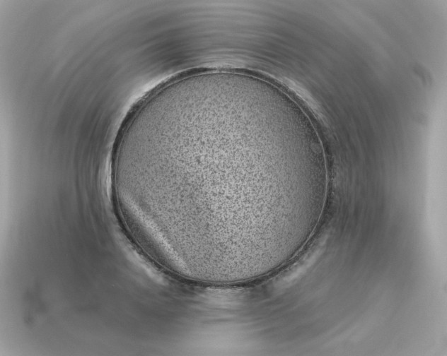 X0000115150840200911101727