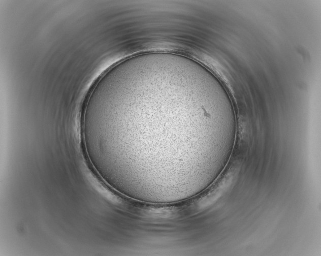 X0000115150843200911101727