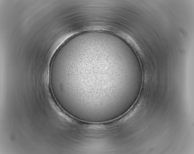 X0000115150844200911101727