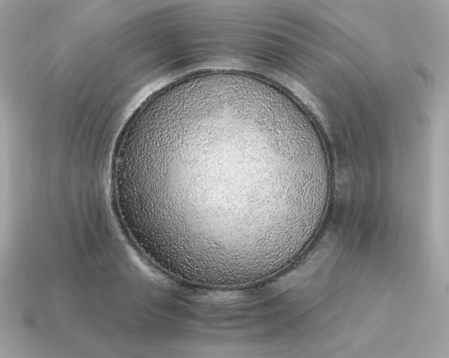X0000115150845200911101727