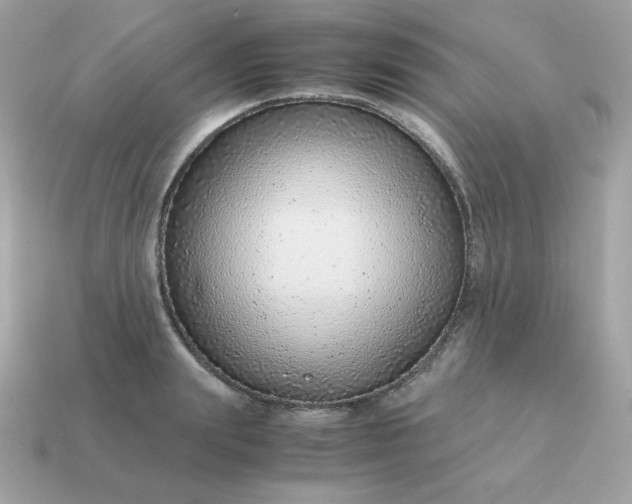 X0000115150847200911101727