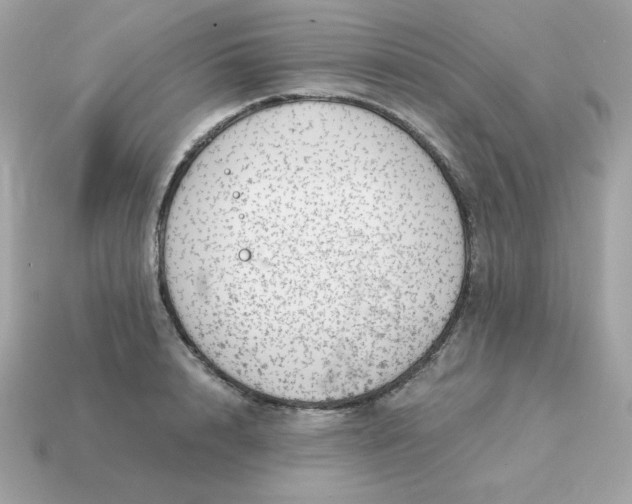 X0000115150848200911101727