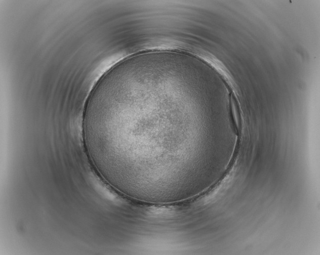 X0000115150850200911101727