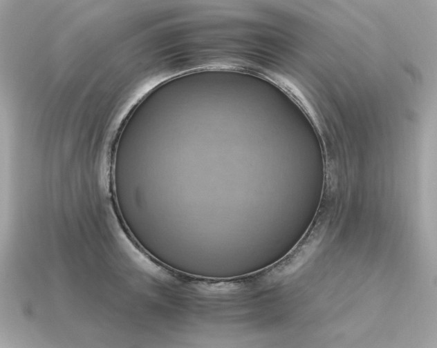 X0000115150851200911101727
